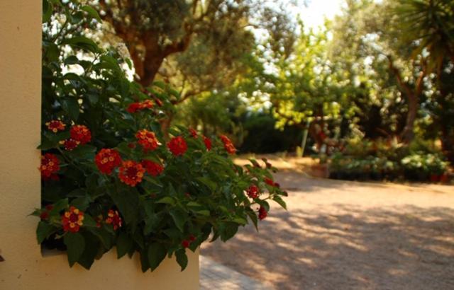 Rio Barca bed&breakfast Alghero Esterno foto