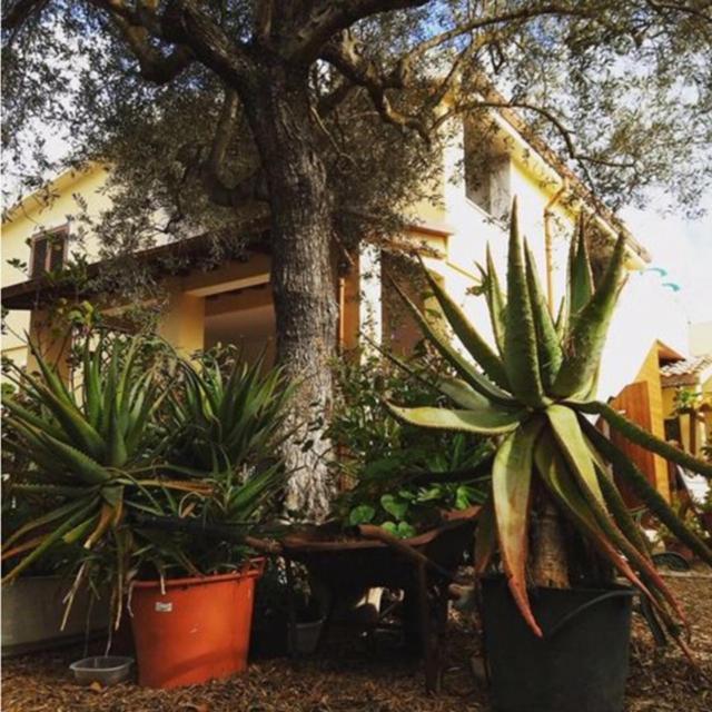 Rio Barca bed&breakfast Alghero Esterno foto